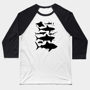 Sea Shadows - Shark Silhouettes Baseball T-Shirt